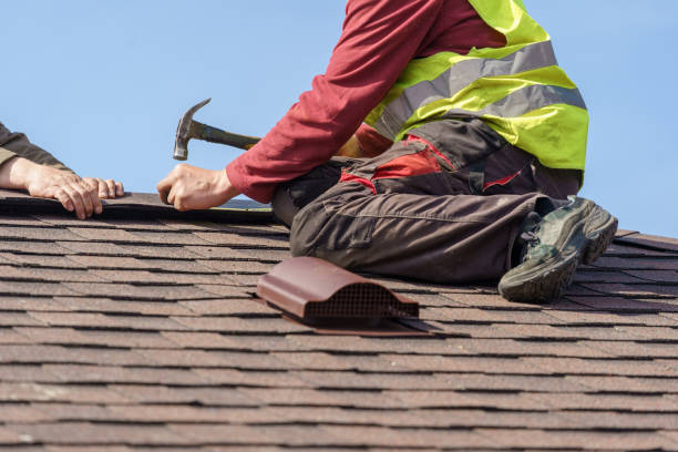 Best Roof Gutter Cleaning  in Polson, MT