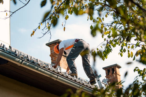 Best Best Roofing Contractors  in Polson, MT