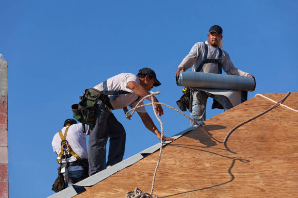 Best Local Roofing Companies  in Polson, MT