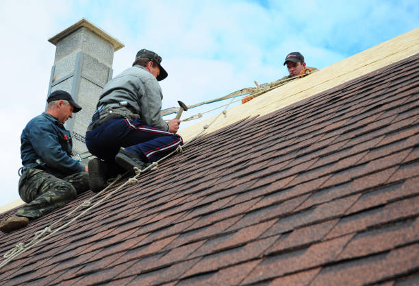 Best Shingle Roofing Installation  in Polson, MT